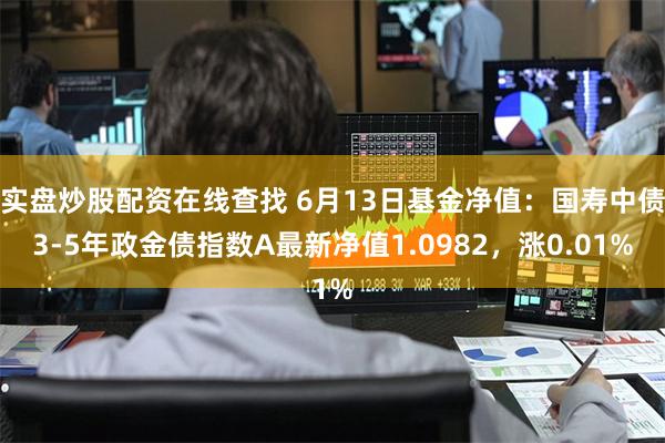 实盘炒股配资在线查找 6月13日基金净值：国寿中债3-5年政金债指数A最新净值1.0982，涨0.01%