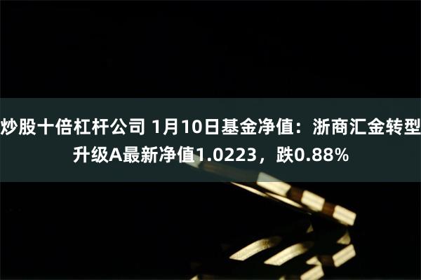 炒股十倍杠杆公司 1月10日基金净值：浙商汇金转型升级A最新净值1.0223，跌0.88%